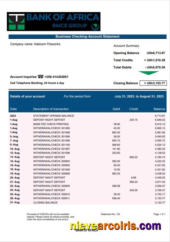 Bank of Africa enterprise account statement